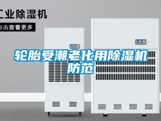 行業新聞輪胎受潮老化用除濕機防范
