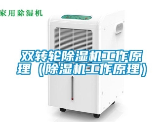 常見問題雙轉輪除濕機工作原理（除濕機工作原理）