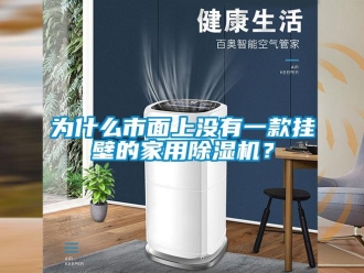 常見問題為什么市面上沒有一款掛壁的家用除濕機？