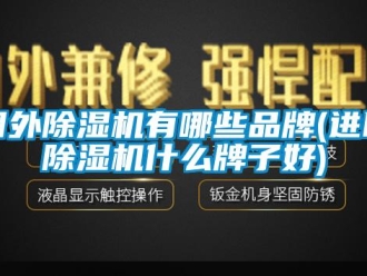 企業新聞國外除濕機有哪些品牌(進口除濕機什么牌子好)