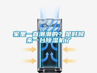 行業新聞家里一直潮潮的？是時候來一臺除濕機了