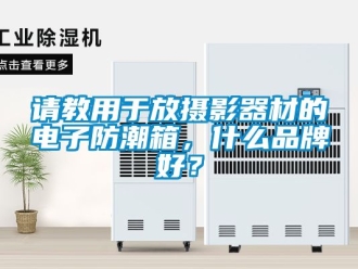 常見問題請教用于放攝影器材的電子防潮箱，什么品牌好？
