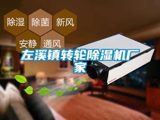 企業新聞左溪鎮轉輪除濕機廠家