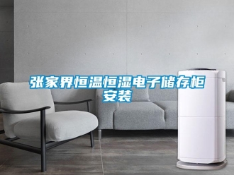 知識百科張家界恒溫恒濕電子儲存柜安裝
