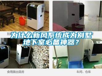 知識百科為什么新風系統成為別墅地下室必備神器？