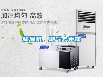 常見問題除濕機，潮氣去無蹤