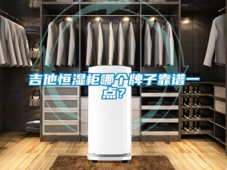 知識百科吉他恒濕柜哪個牌子靠譜一點？