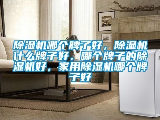 常見問題除濕機哪個牌子好，除濕機什么牌子好，哪個牌子的除濕機好，家用除濕機哪個牌子好