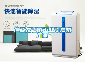 企業新聞廣西龍臨鎮工業除濕機廠家