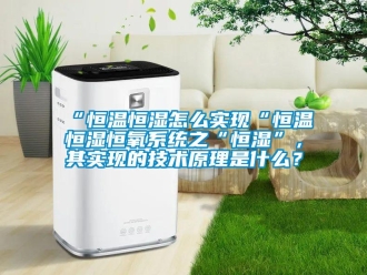常見問題“恒溫恒濕怎么實現“恒溫恒濕恒氧系統之“恒濕”，其實現的技術原理是什么？