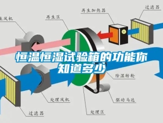 知識百科恒溫恒濕試驗箱的功能你知道多少