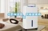 小型加濕器，創新因需而變