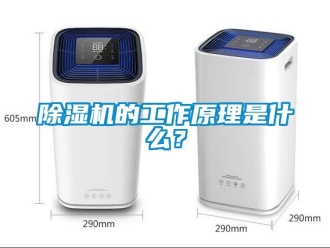 企業新聞除濕機的工作原理是什么？