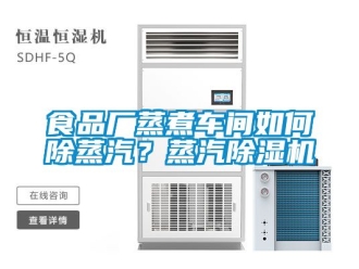 企業新聞食品廠蒸煮車間如何除蒸汽？蒸汽除濕機