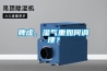 脾虛，濕氣重如何調理？