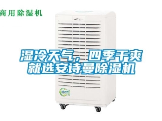 企業新聞濕冷天氣，四季干爽就選安詩曼除濕機
