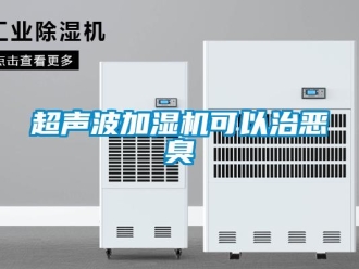 企業新聞超聲波加濕機可以治惡臭