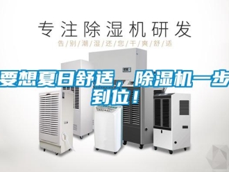 知識百科要想夏日舒適，除濕機一步到位！