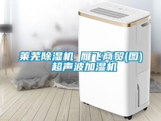 行業新聞萊蕪除濕機 雁飛商貿(圖) 超聲波加濕機