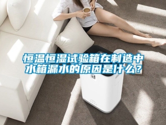 知識百科恒溫恒濕試驗箱在制造中水箱漏水的原因是什么？