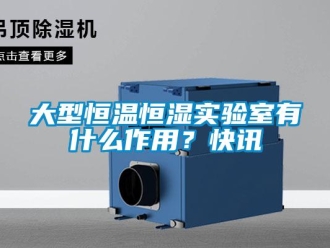 知識百科大型恒溫恒濕實驗室有什么作用？快訊