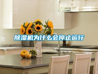 企業新聞除濕機為什么會停止運行