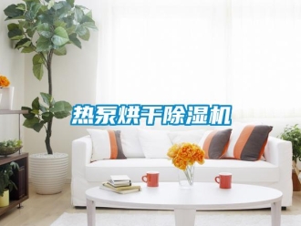 行業新聞熱泵烘干除濕機