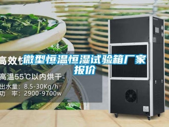 知識百科微型恒溫恒濕試驗箱廠家報價