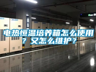 知識百科電熱恒溫培養箱怎么使用？又怎么維護？