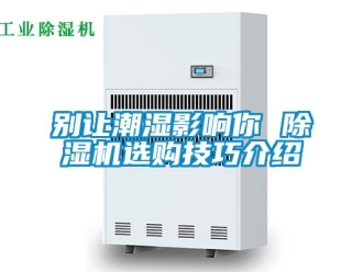 企業新聞別讓潮濕影響你 除濕機選購技巧介紹