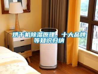 企業新聞烘干機除濕原理、十大品牌等知識歸納