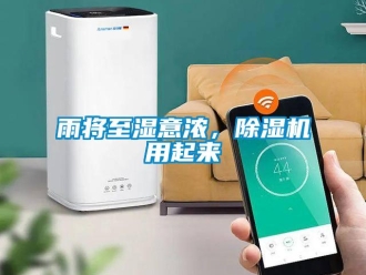 知識百科雨將至濕意濃，除濕機用起來