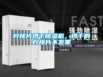 行業新聞檸檬片烘干除濕機，烘干的檸檬片不發黑