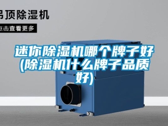 行業新聞迷你除濕機哪個牌子好(除濕機什么牌子品質好)