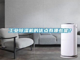 企業新聞工業除濕機的優點有哪些呢？