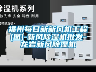 常見問題福州每日新新風機工程(圖)-新風除濕機批發-龍巖新風除濕機