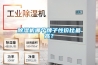 除濕機哪個牌子性價比最高？