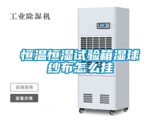 知識百科恒溫恒濕試驗箱濕球紗布怎么掛