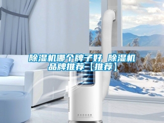 企業新聞除濕機哪個牌子好 除濕機品牌推薦【推薦】