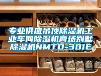 常見問題專業供應吊頂除濕機工業車間除濕機商場別墅除濕機NMTD-301E
