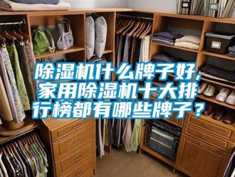 常見問題除濕機什么牌子好,家用除濕機十大排行榜都有哪些牌子？