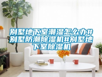 企業新聞別墅地下室潮濕怎么辦#別墅防潮除濕機#別墅地下室除濕機