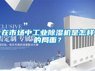 常見問題在市場中工業除濕機是怎樣的局面？