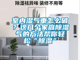 企業新聞室內濕氣重怎么破？這幾個家庭除濕氣的方法幫你輕松“除濕”