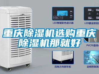 行業新聞重慶除濕機選購重慶除濕機那就好