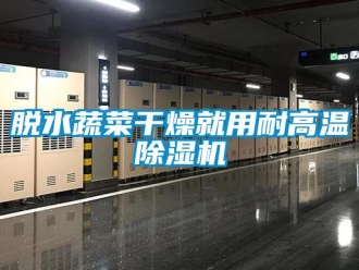 知識百科脫水蔬菜干燥就用耐高溫除濕機