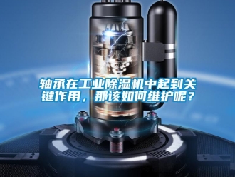常見問題軸承在工業除濕機中起到關鍵作用，那該如何維護呢？