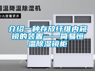 知識百科介紹一種存放纖維內窺鏡的裝置——簡易恒溫除濕鏡柜