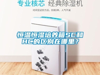 知識百科恒溫恒濕培養箱SC和HC的區別在哪里？