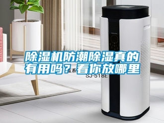 行業新聞除濕機防潮除濕真的有用嗎？看你放哪里